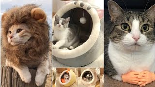 Cute Cat Accessories And Smart Gadgets 😍 | Best Video Of 2022 | All Gadgets92