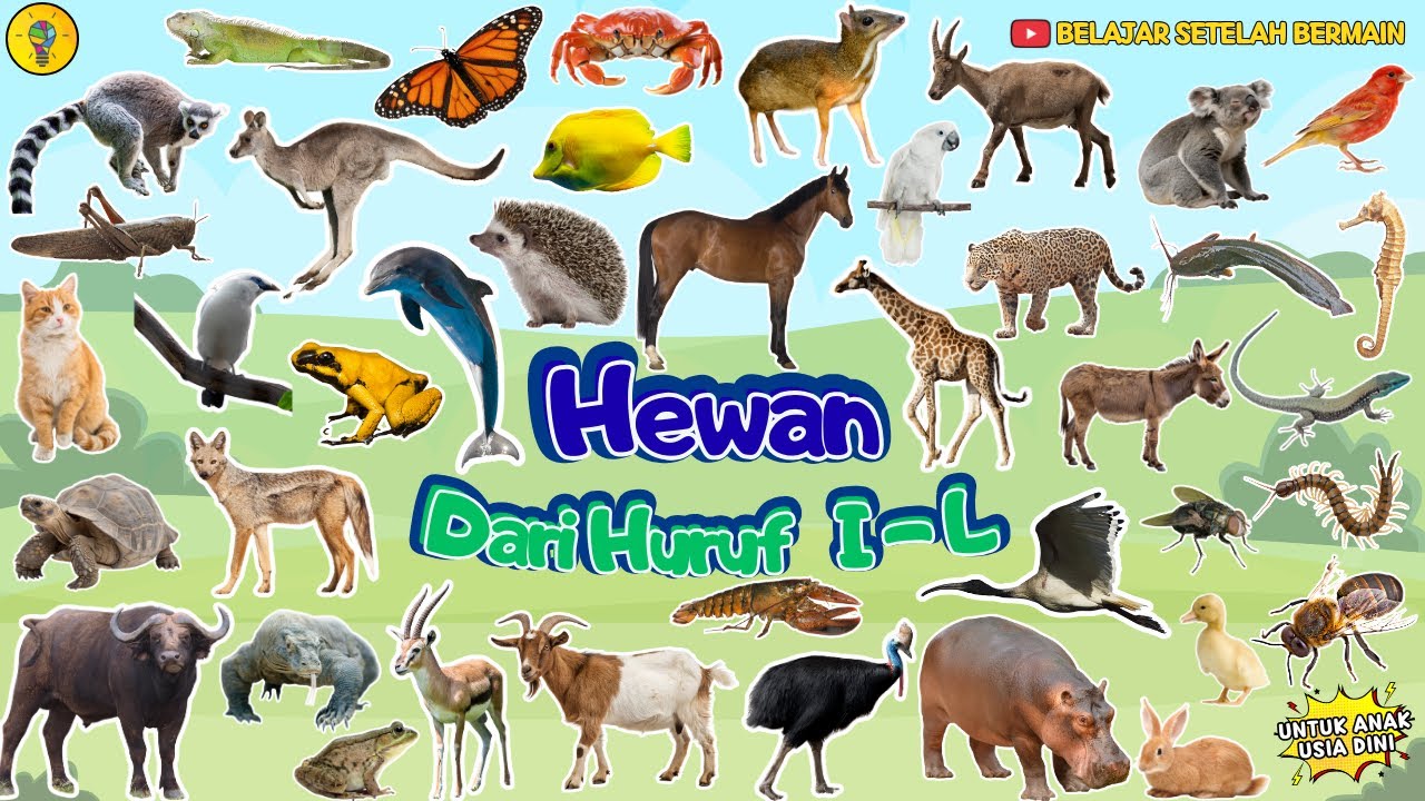 Nama Hewan dari I - L || Belajar Mengenal Nama Nama Hewan untuk Anak Usia Dini