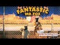 Andrew Weisblum, ACE Discusses Editing Stop-motion Animation From "Fastastic Mr. Fox"