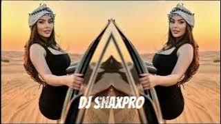 Dj Zuxa & Dj Shaxpro & Dj Tab - Ah Ya Albi, Wain Meady, Nour El Ain, (Arabic Remix)