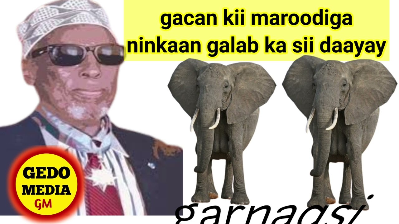 # dhoodaan #Gacankii maroodiga#subscribers #live