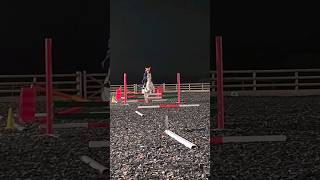 Gridwork #pony #shorts #horse #memes #fyp #cute #youtubeshorts #equestrian #fun #subscribe #bhfyp