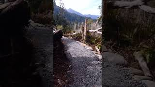 New Zealand 🇳🇿 Hiking Tramping - Copland Track 🏞️