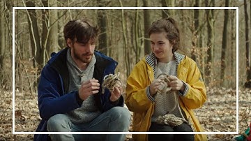 The Nature Of Things | shortfilm