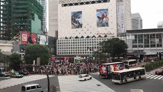 Shibuya Intersection Timelapse