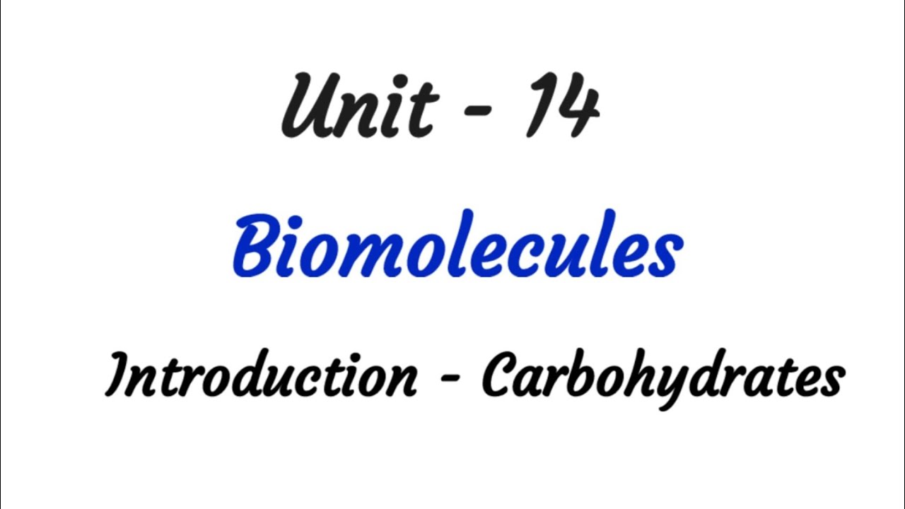 Introduction | Carbohydrates | Biomolecules | TN 12 chemistry | ncert | Unit 14 | in tamil