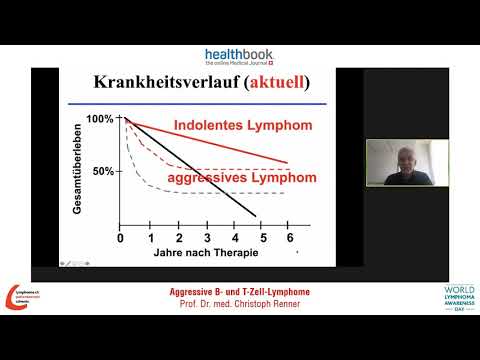 Video: Der Integrative Ansatz Zum T-Zell-Lymphom Bei Hunden