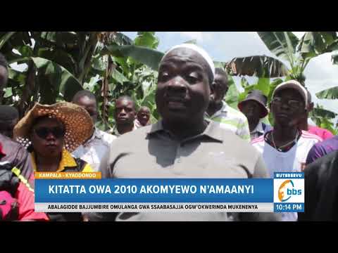Kitatta owa 2010