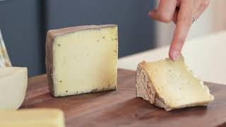 Gateway Cheese™: Havarti