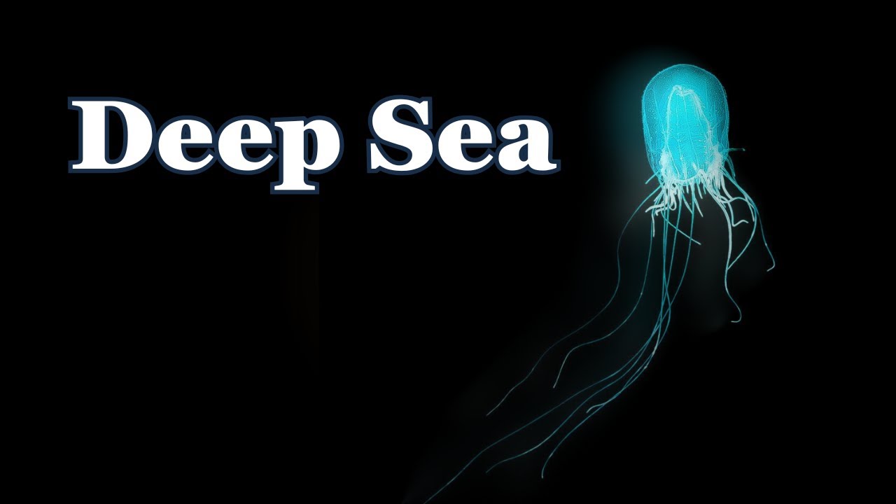 Fall Asleep to Deep Sea Mysteries | Relaxing Ocean Documentary for Sleep