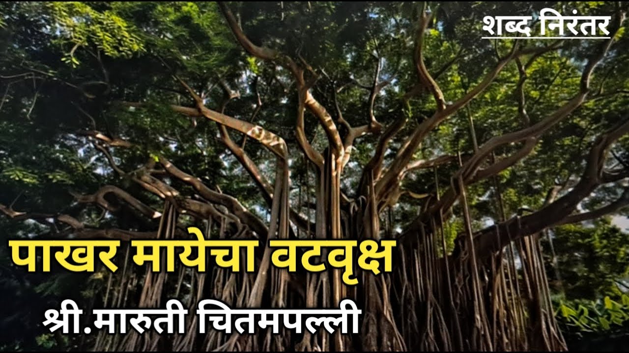 पाखर मायेचा वटवृक्ष, लेखक : श्री.मारुती चितमपल्ली