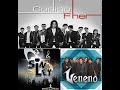 CODIGO FHER   SIN LEY VENENO  CUMBIA BOLIVIANA MIX