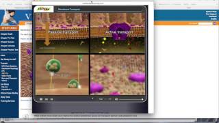 chapter 3 cells part 2