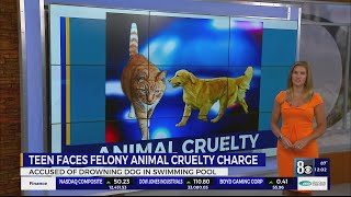 Teen facing animal cruelty charge for allegedly drowning dog