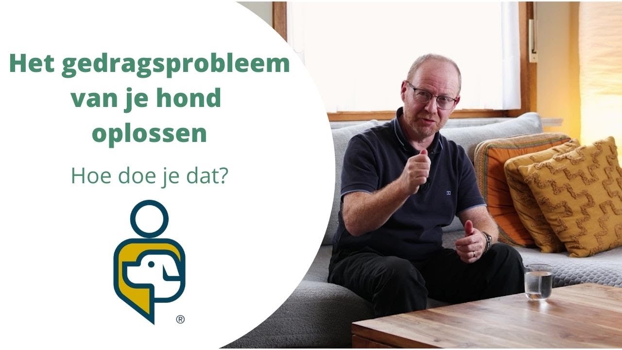 Het gedragsprobleem van je hond oplossen - Hoe doe je dat?