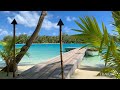 Electro House Music | Walking | Exploring | Motu Tane, Bora Bora, French Polynesia 🇵🇫 | 4K Travel