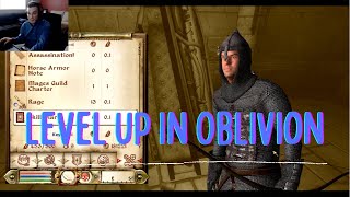 What does efficient leveling look like in oblivion. screenshot 5