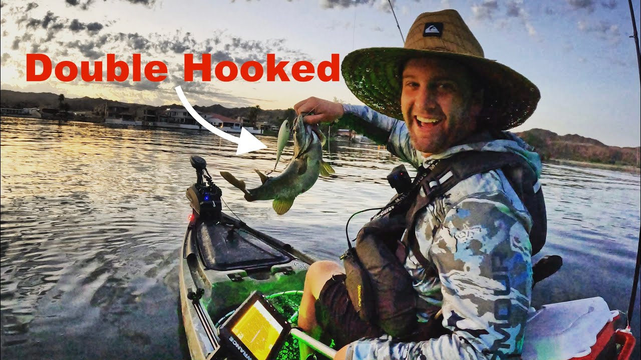 Wild “Bass” Fishing in Arizona !! Bass Manager The Best Bass