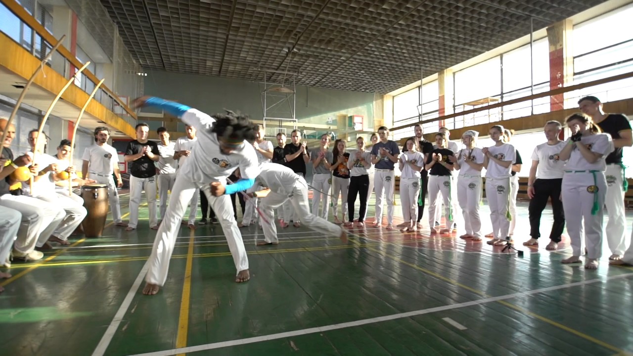 Prof Gugu e Mestre Gaiola. O MACHO QUE DIACHO É ISSO? 5 Mestre Tico cドライブからdドライブ