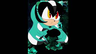 Hola A Todos Soy Selena Rose The Hedgehog Yo Estaré En Esta Cuenta