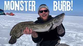 Mid Day Monster Lake Nipissing Burbot!...LGMT Ep.3