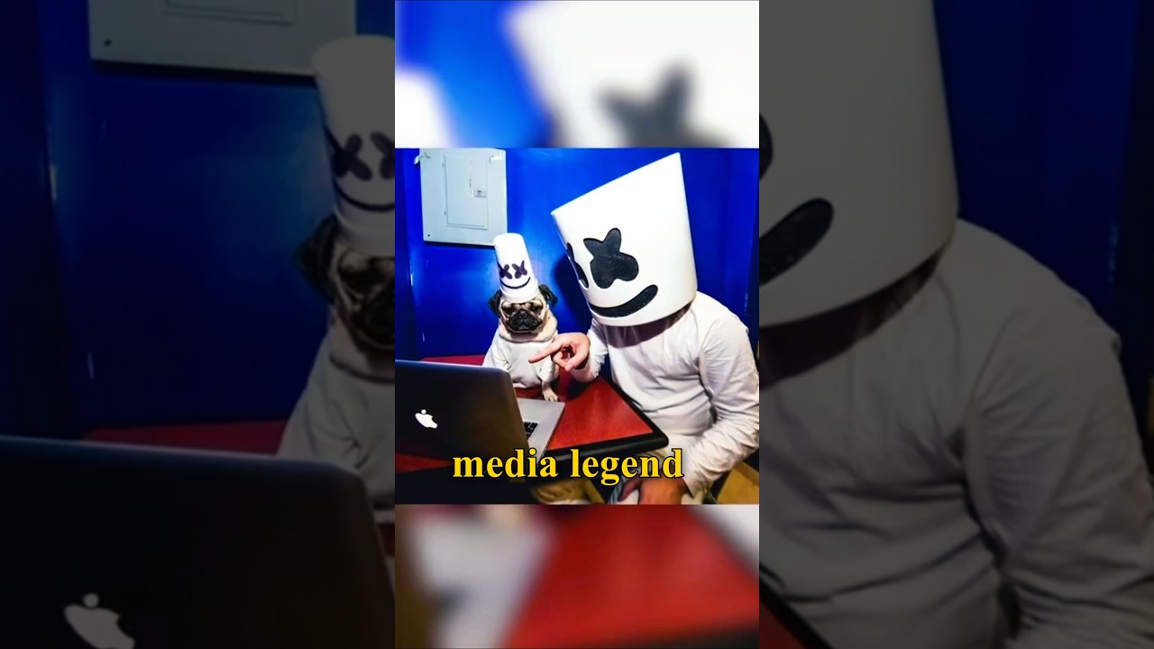 How Doug the Pug Went From Regular Pup to Social Media Superstar!