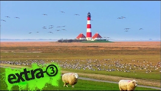 Verkehrsprojekte in Schleswig-Holstein