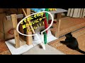 障害子猫の闘病日記㉑