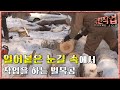 극한직업 - Extreme JOB, 러시아 겨울 벌목공 제2부