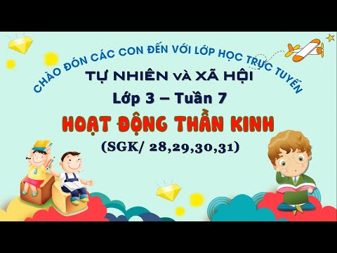 Video Khối 3 - TNXH - Hoạt động thần kinh - Tuần 7 - youtube