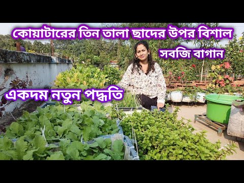 ভিডিও: একটি উলটো বাগানের জন্য সবজি