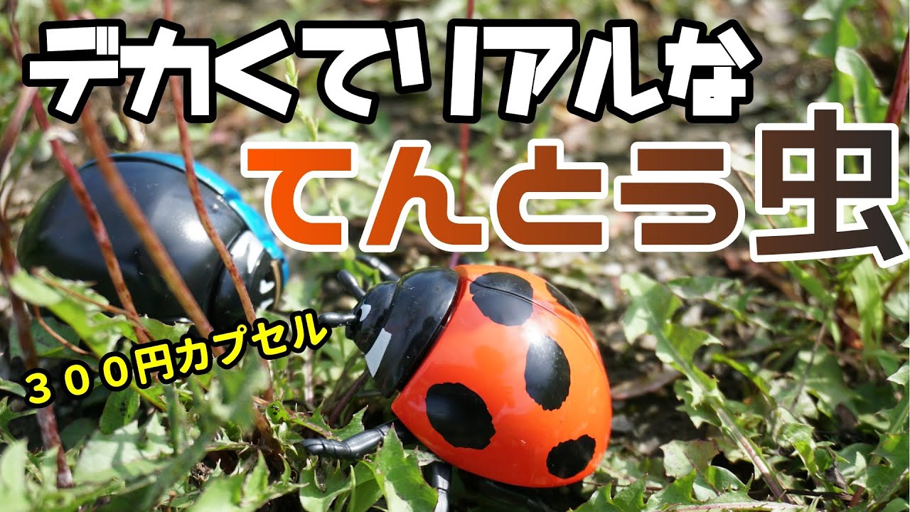 ガチャ 300円のてんとう虫を開封 3 Dファイルtheてんとう虫 Japanese Capsule Toy Youtube