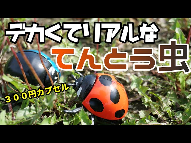 ガチャ】300円のてんとう虫を開封！ 3 DファイルTHEてんとう虫