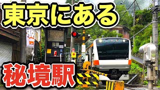 東京で一番の『秘境駅』に行ってきた！！！何もなさすぎわろた！！！