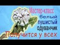 Master class white fluffy dandelion. Filleting. Мастер-класс белый пушистый одуванчик. Валяние