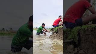 The river is flowing heavily.