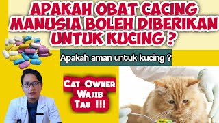 CAN HUMAN DEWORMS BE GIVEN TO CATS? || CAT DEWORMS || drh Mirza Yusa
