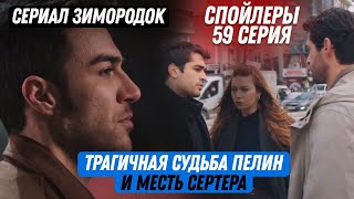 Сериал Зимородок спойлеры 59 серия русская озвучка - Трагичная Судьба Пелин,  месть Сертера