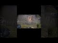 ◙Полк ARSIS: РБ, ПБ ( discord.gg/XSnRSeCp46 )╔Играем с 2024 года ╠Для вступления зайти в Discord