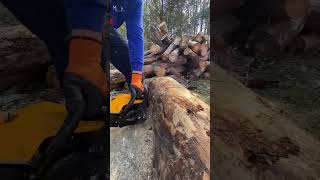 Pilarka Riwall 5040 Udany Zakup.