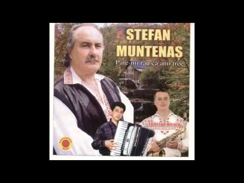 Stefan Muntenas
