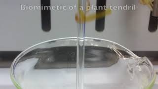 Photogated Humidity-Driven Motility - SI Video 7 screenshot 5