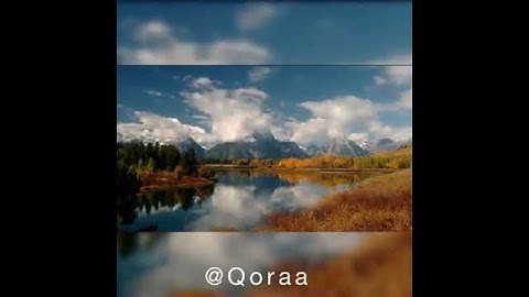 تلاوة عطرة بصوت الشيخ أبو بكر #الشاطري