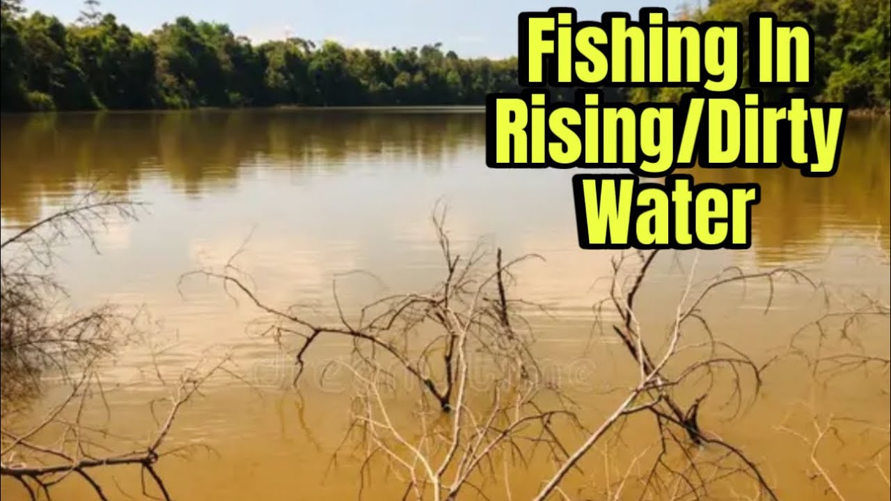 Techniques For Catching Bass In Rising/Dirty Water…