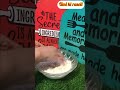 Kaise lage yeh recipe chai ke saath ?#recipe #shortsfeed #shorts#youtubeshorts #cooking #viral #yt