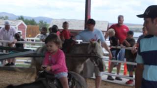 Pony Ride