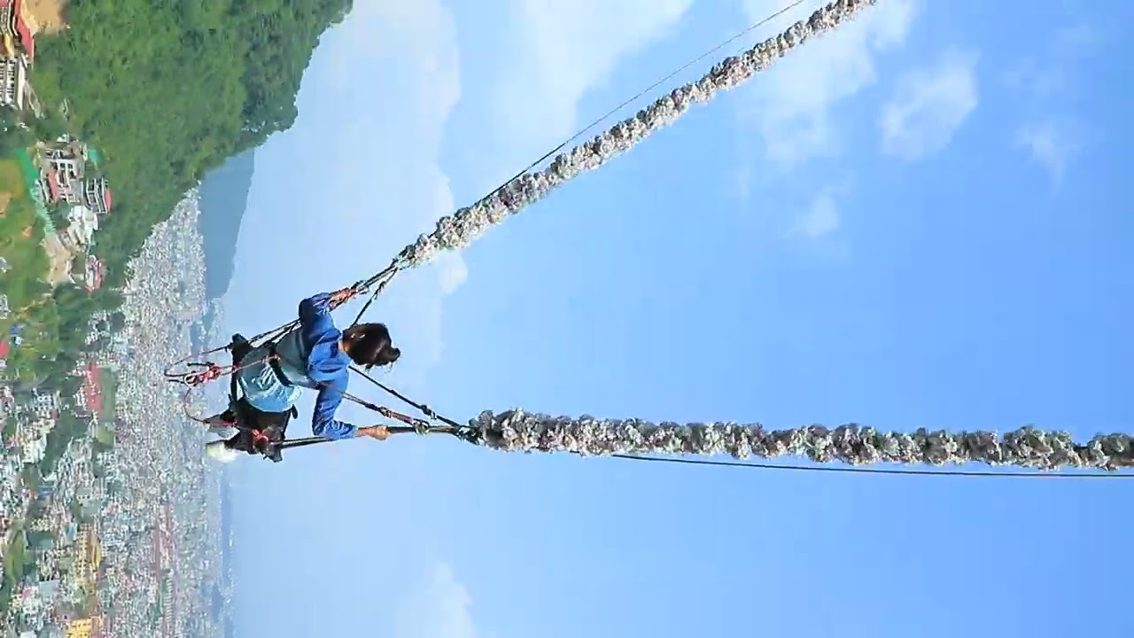 beautiful place Single Tree swing