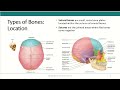 Skeletal System part 1