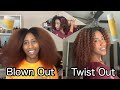 Using Texture ID Coils Collection To Style My Blown Out Twist Out.. And The Results Had Me SHOOK!!!