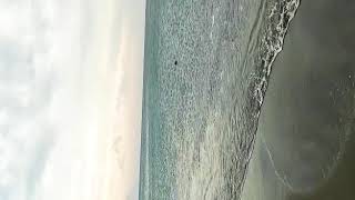 Deniz Snap Video